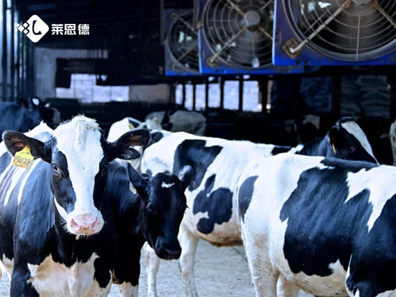 肉類水分檢測儀怎么選 采購哪家好